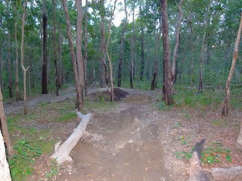 P1160351.jpg